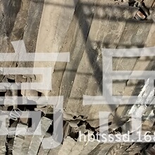 比亚迪车载网关发布：即插即用 支持15台设备同时在线
