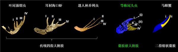 机器人伴侣订单火爆:被吐槽货不对板