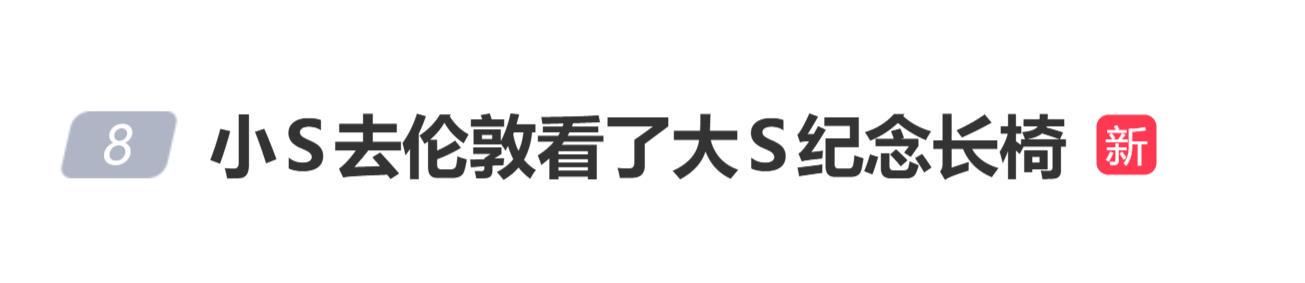 小S去伦敦看大S纪念长椅,公园在施工重新规划没看到长椅